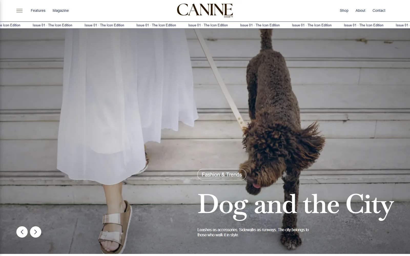 Canine Society website